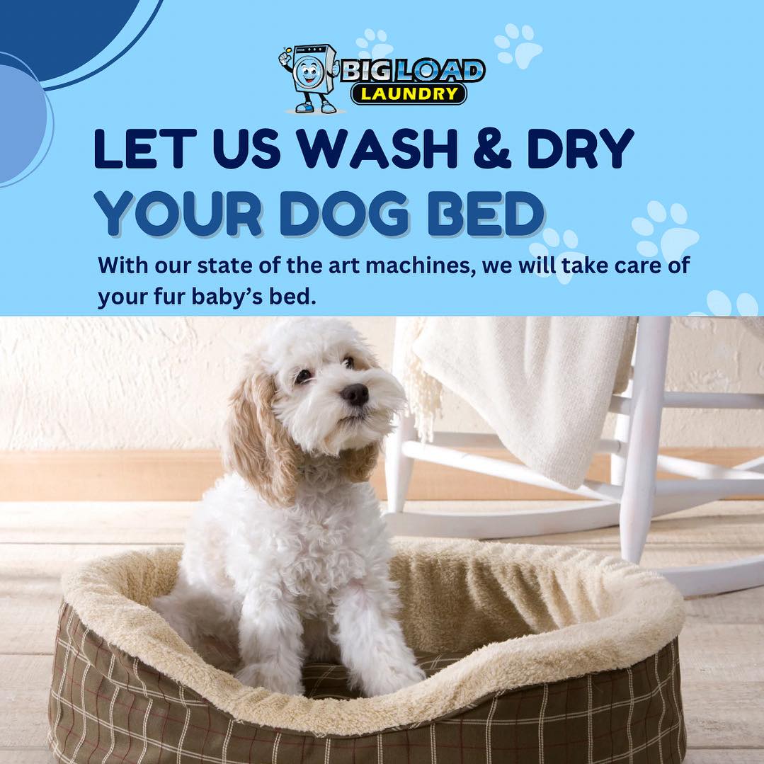 Big Load Laundromat | Tampa FL