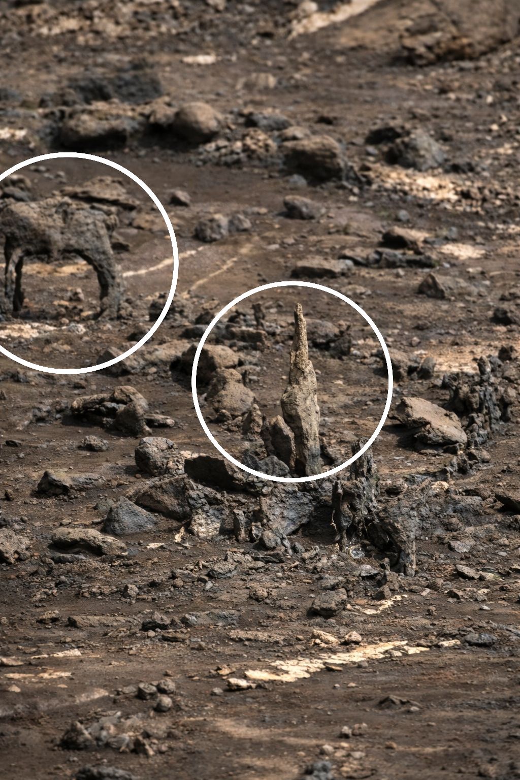 Space - Mysterious rock formations on Mars 🪨 These strange shapes are ...