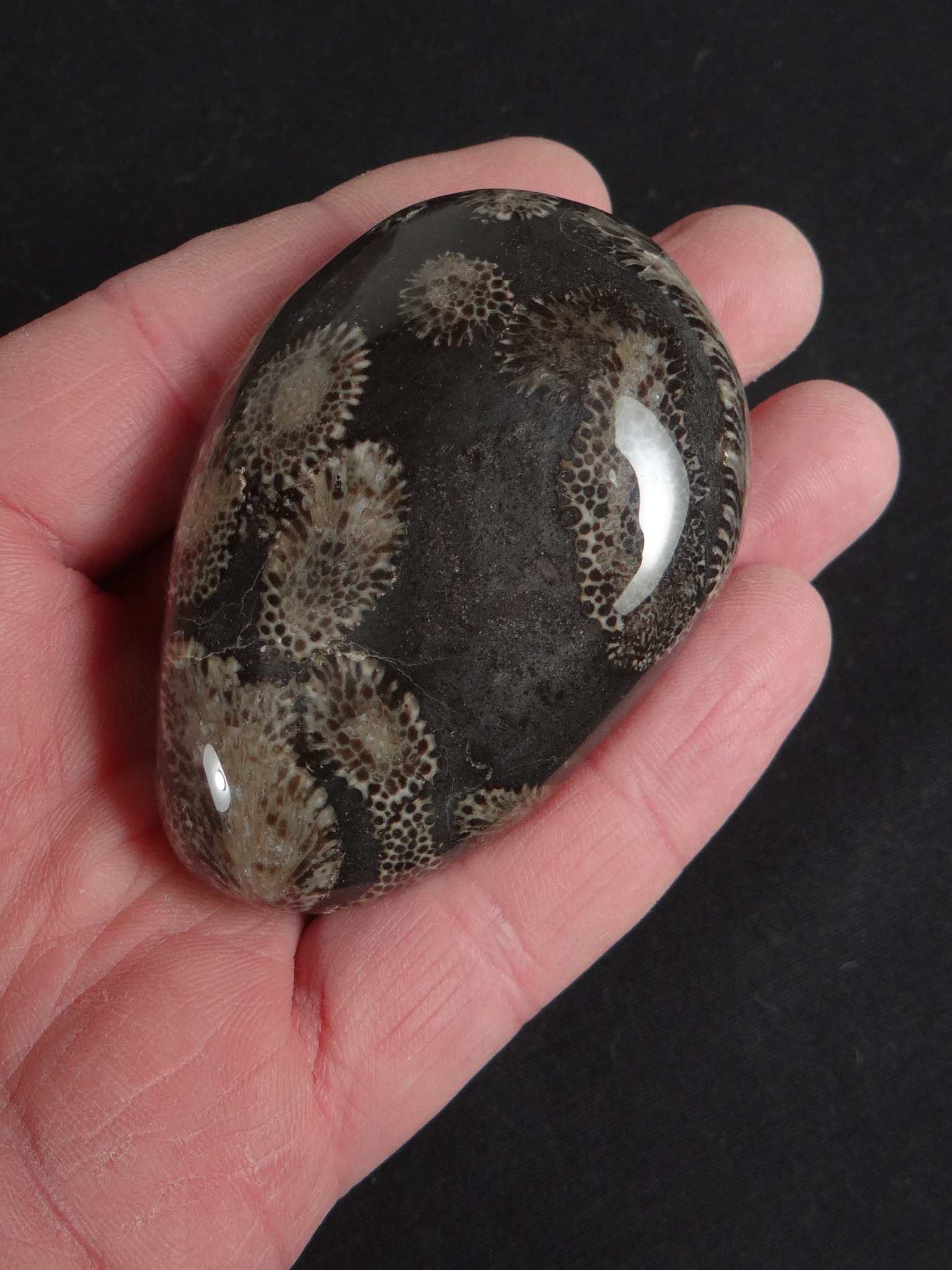 Michigan Rocks