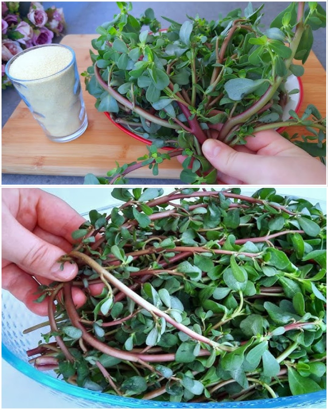 Health Tips - Purslane is tastier than meat! Neighbors... | Facebook