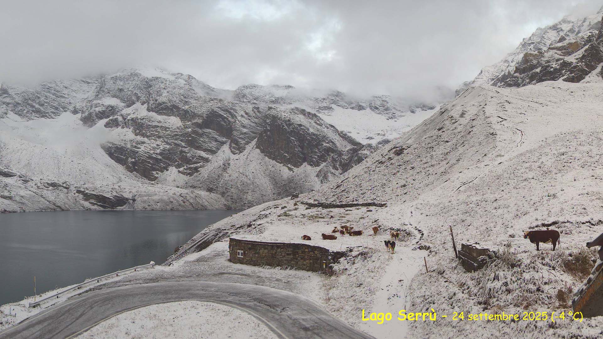Sei di Ceresole Reale (o lo conosci bene) se.... | Questa mattina al ...