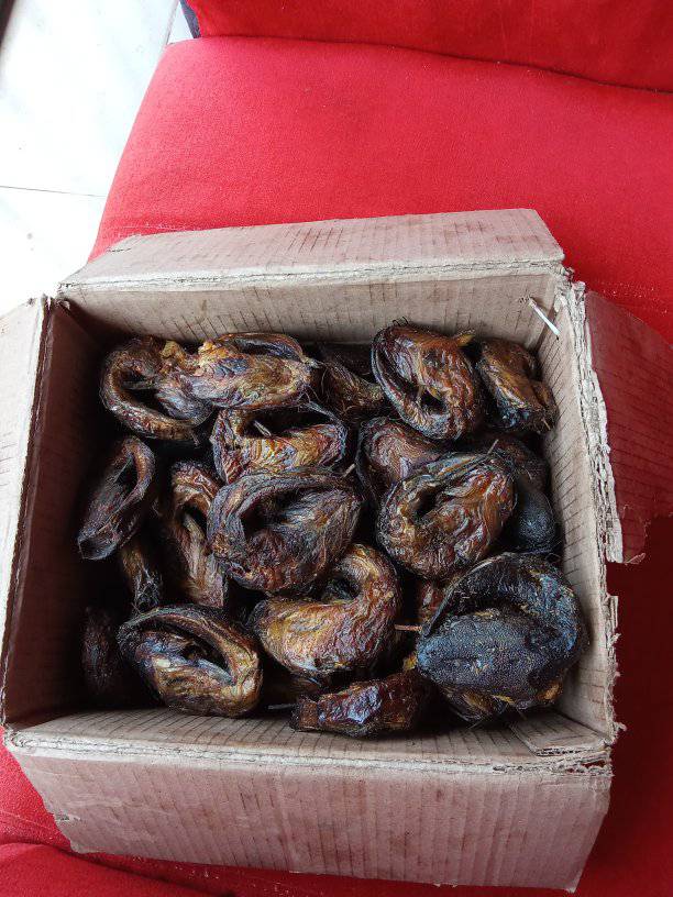 dry tiny fish in box Solo Description Special Reef Sand is a coarse mix of 1 Miniature Shipping Box Flake Sticker