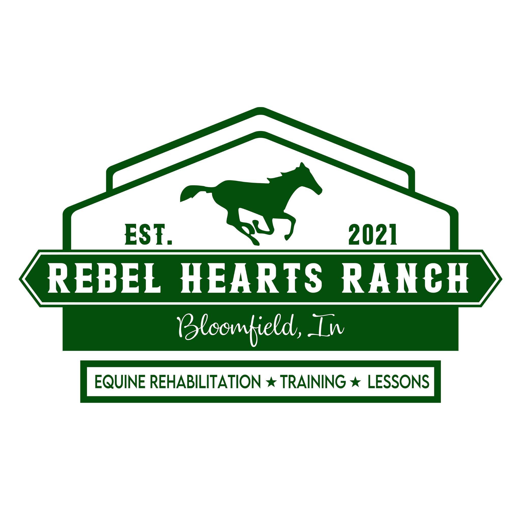 Happy New Year from Rebel Hearts Ranch!💛🐴 #horses #happynewyear #2026 # ...