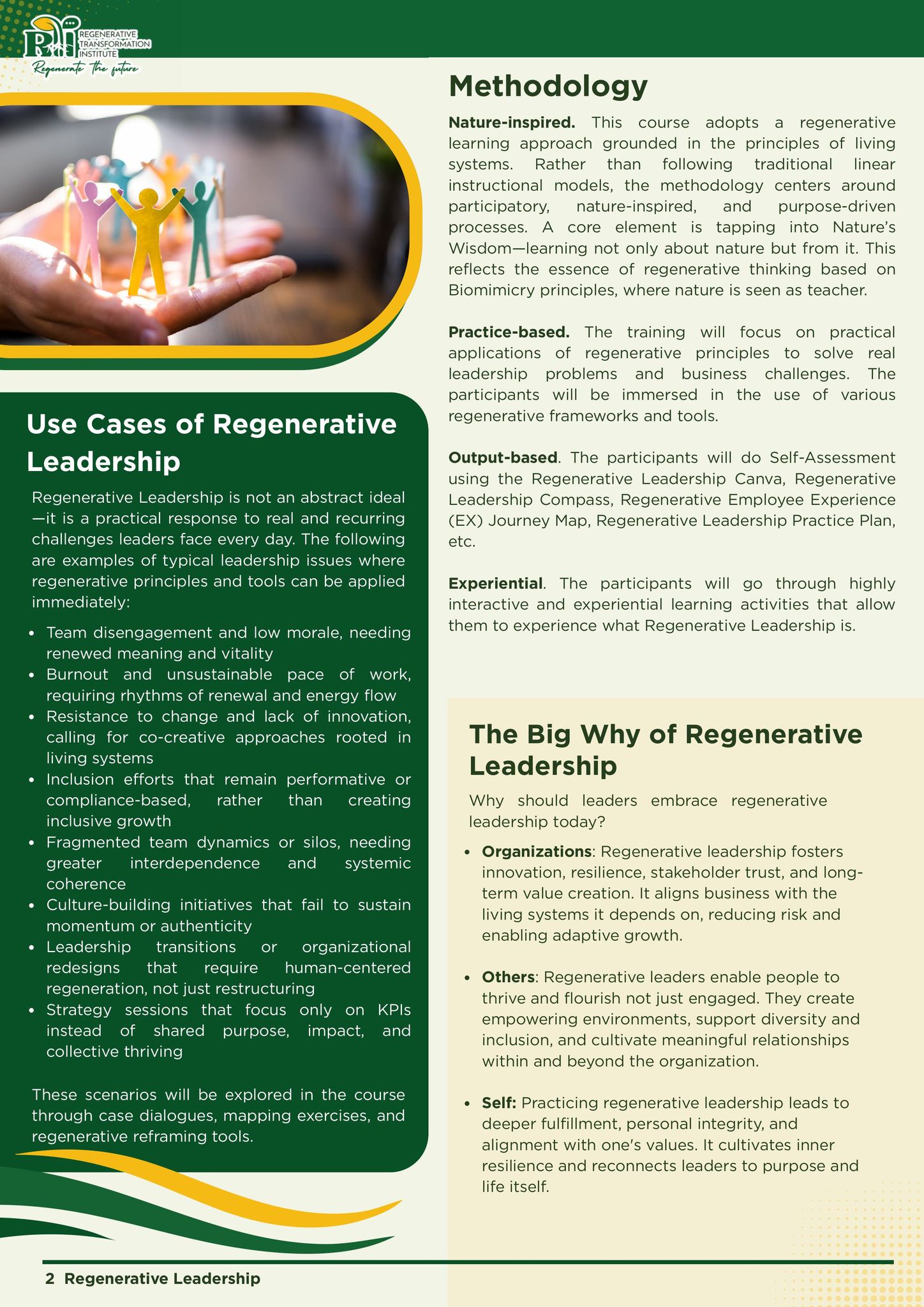 Regenerative Transformation Institute