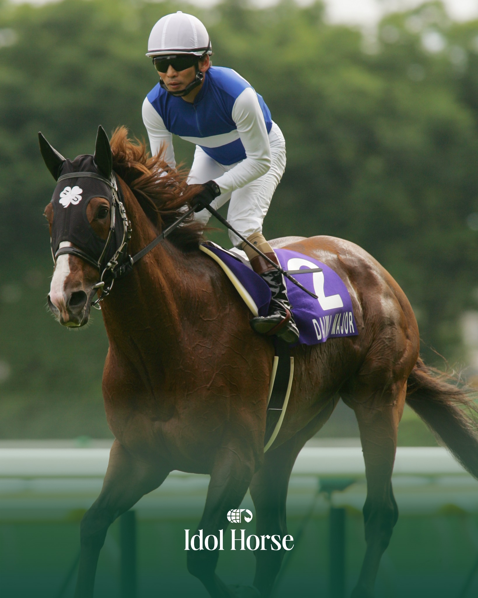 Champion miler Daiwa Major has died aged 25. The son of Sunday 