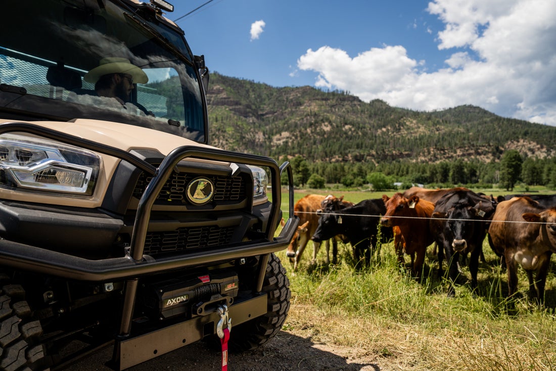 Crystal - The ultimate extra hand around the ranch. https://www ...