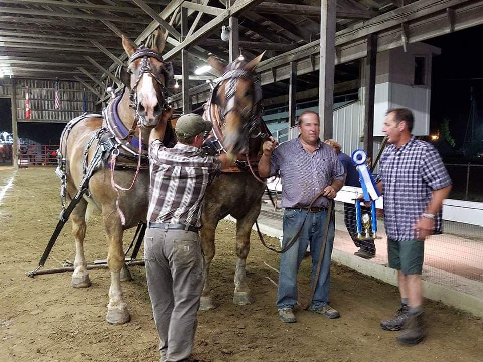 Horse - Sent by: Debbie Bigelo Charlie Chickering winning the Norm ...
