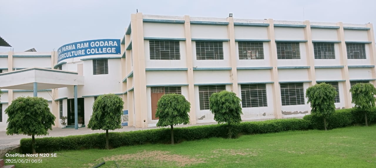 Ch. Parmaram Godara Agriculture College, Bhadra | Bhadra