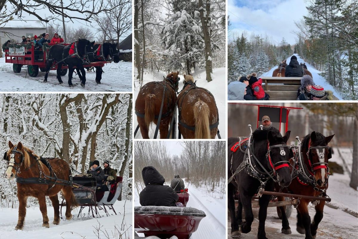 Day - There’s winter magic… and then there’s Michigan sleigh ride magic ...