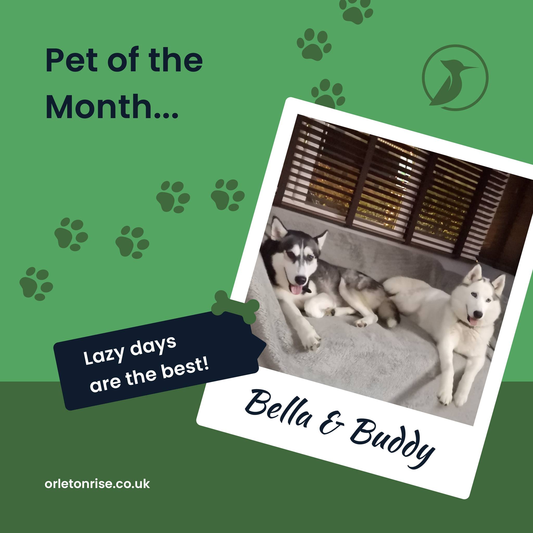Williams - 🐾 Pet of the Month at Orleton Rise - Bella & Buddy 🐾 This ...