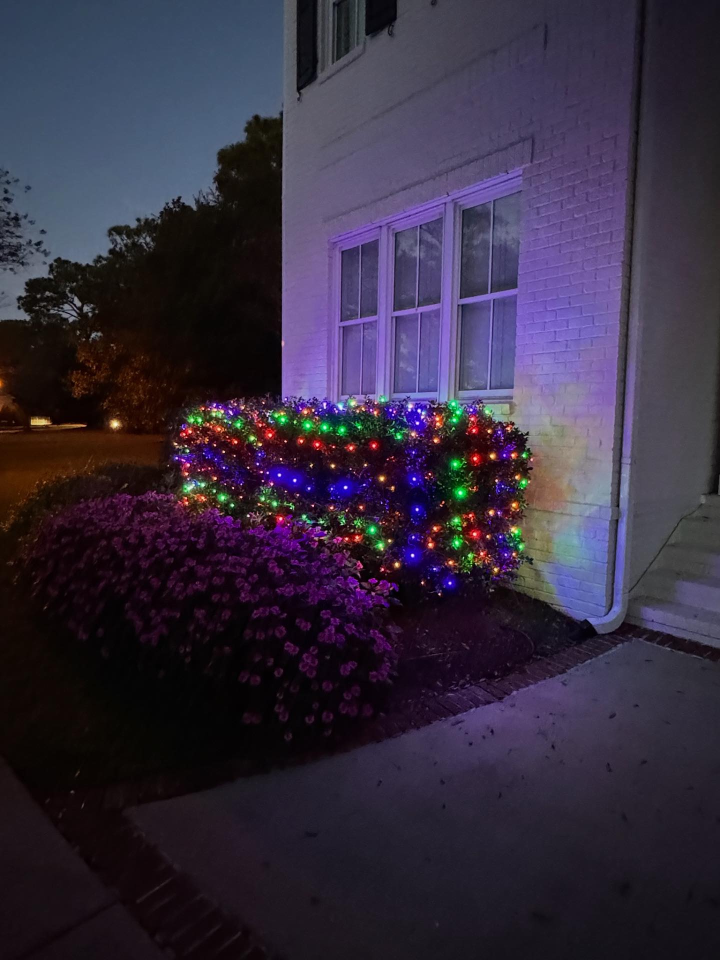 Nova Premier Outdoor Lighting Company | Wilmington NC