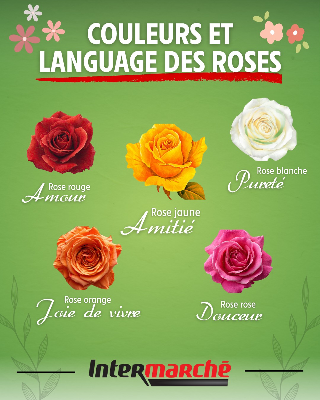 Intermarché - [🌹LA SIGNIFICATION DES FLEURS🌹] Vous le saviez peut-être ...