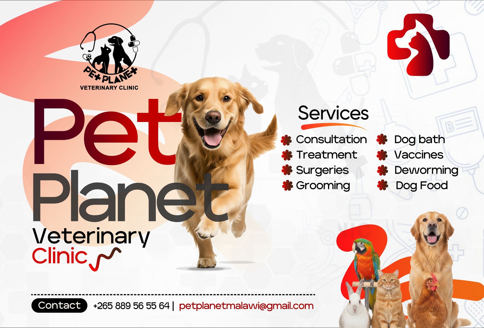 Pet Planet Veterinary Clinic-Malawi | Blantyre