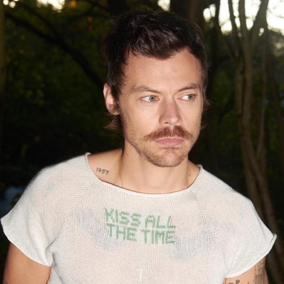 Harry styles Melbourne night 1/2/3 ︎⁠ | Facebook