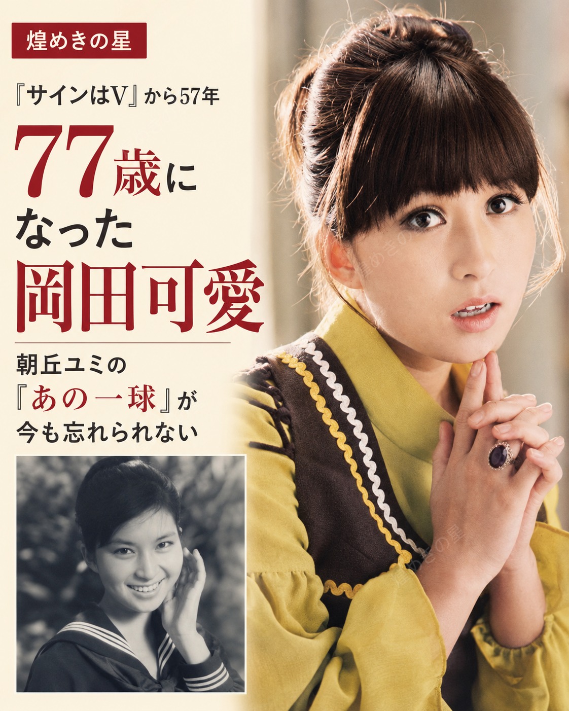 活動歴および当時の関連ビジュアル記録