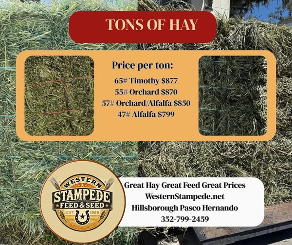 Snapshot of Timothy Hay Price Per Ton