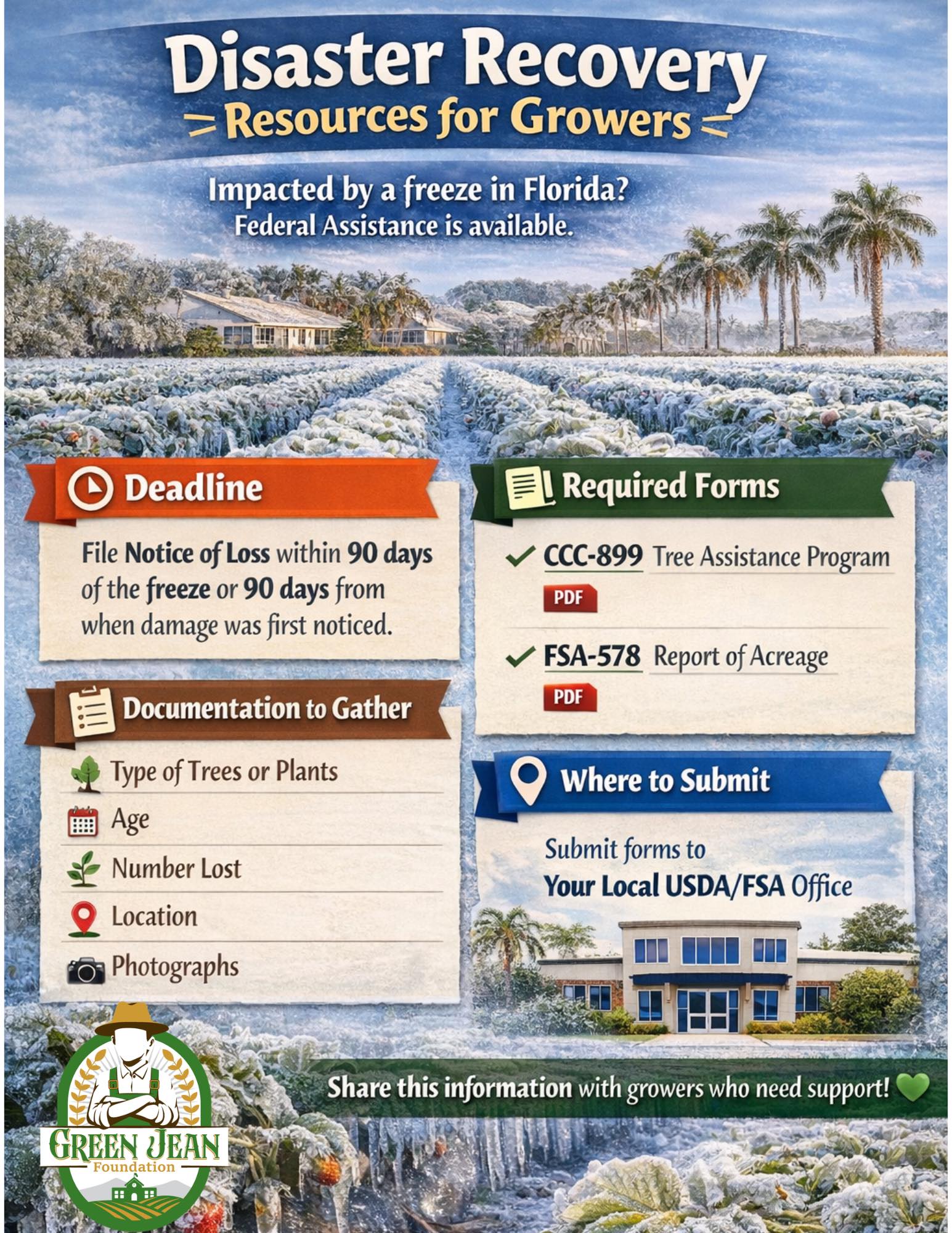 Green Jean Foundation | Holiday FL