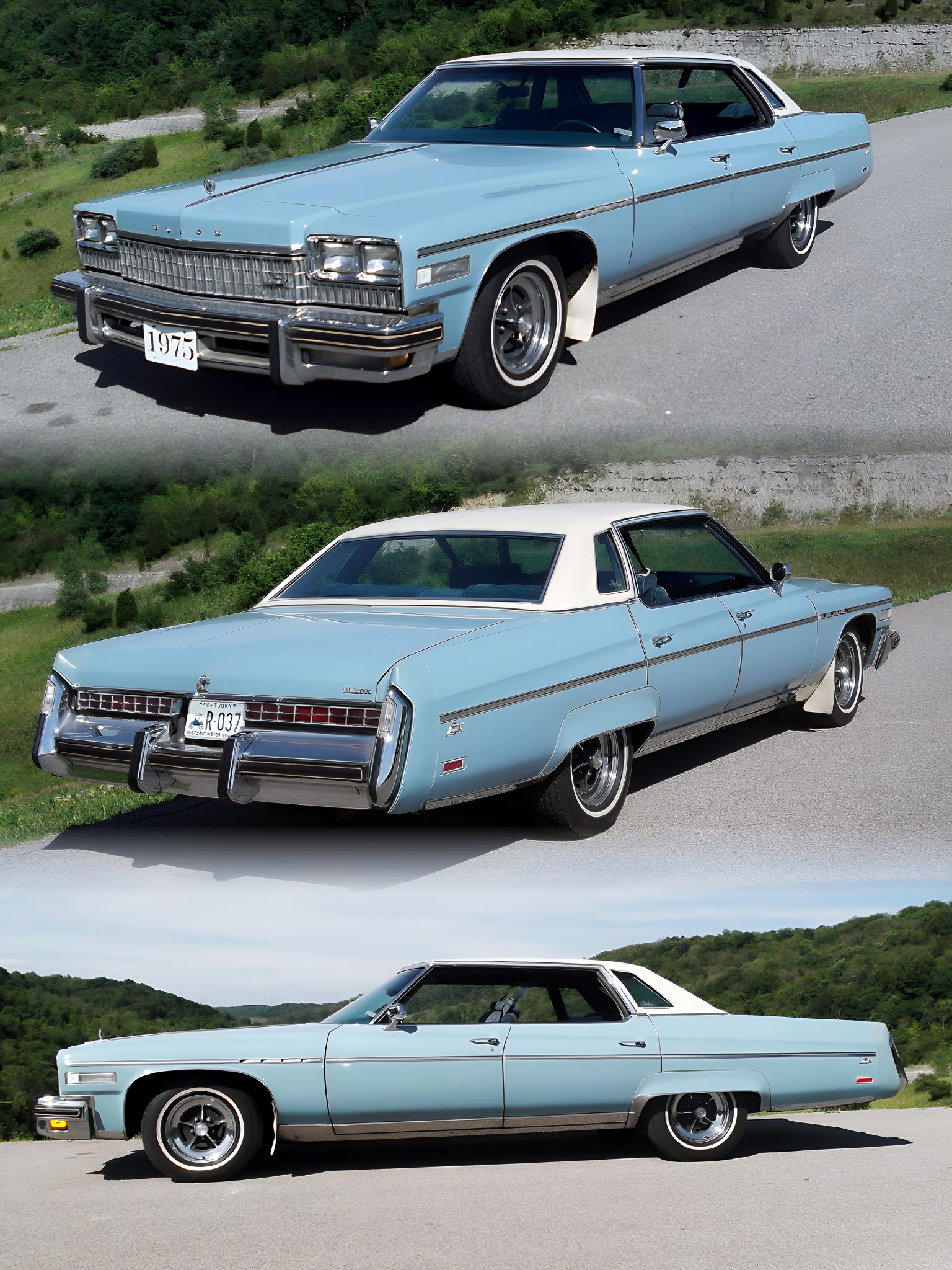 1975 Buick Electra Limited Park Avenue ??