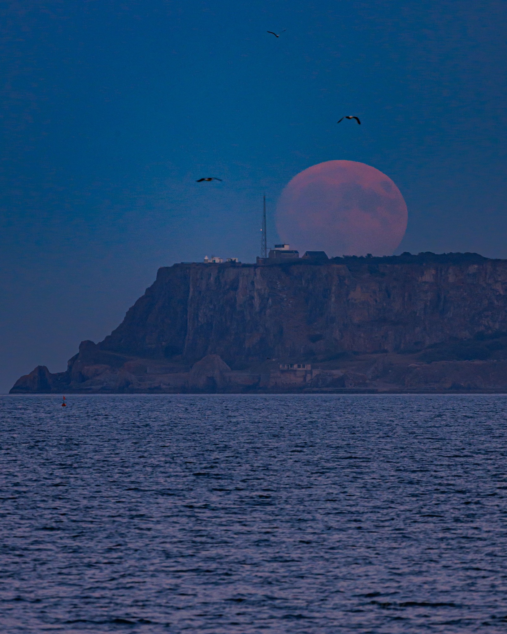 99.6% Moon rising at Berryhead, Paignton, Devon