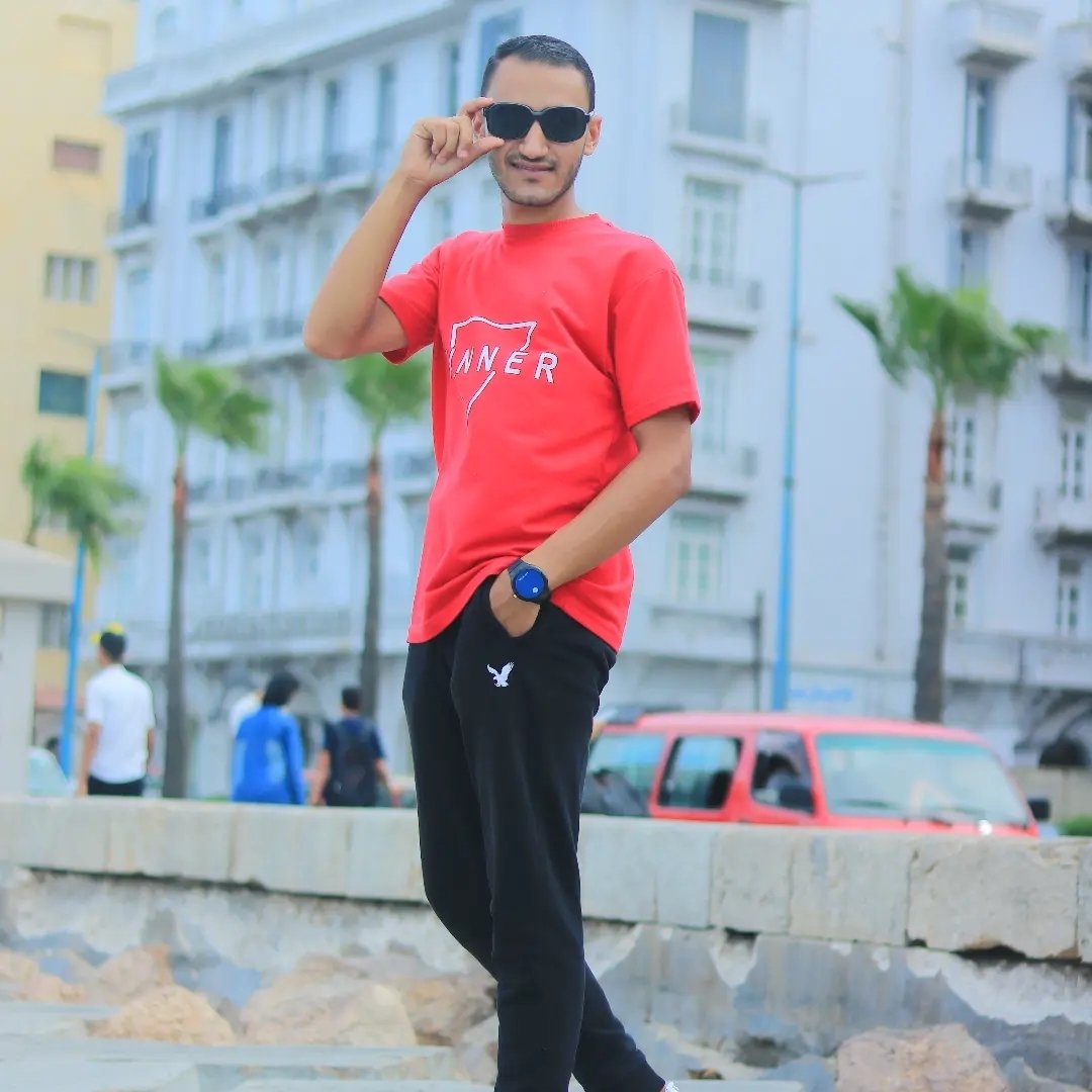 Sayed Reda Hassanin
