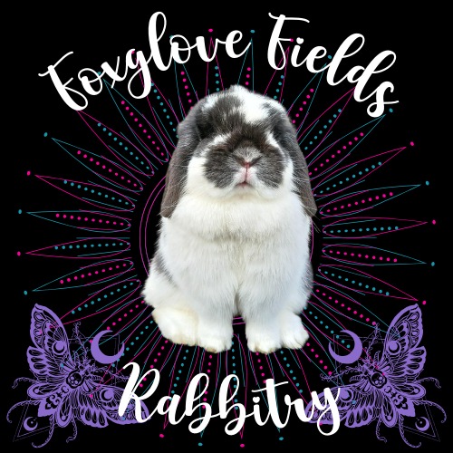 Foxglove Fields Rabbitry