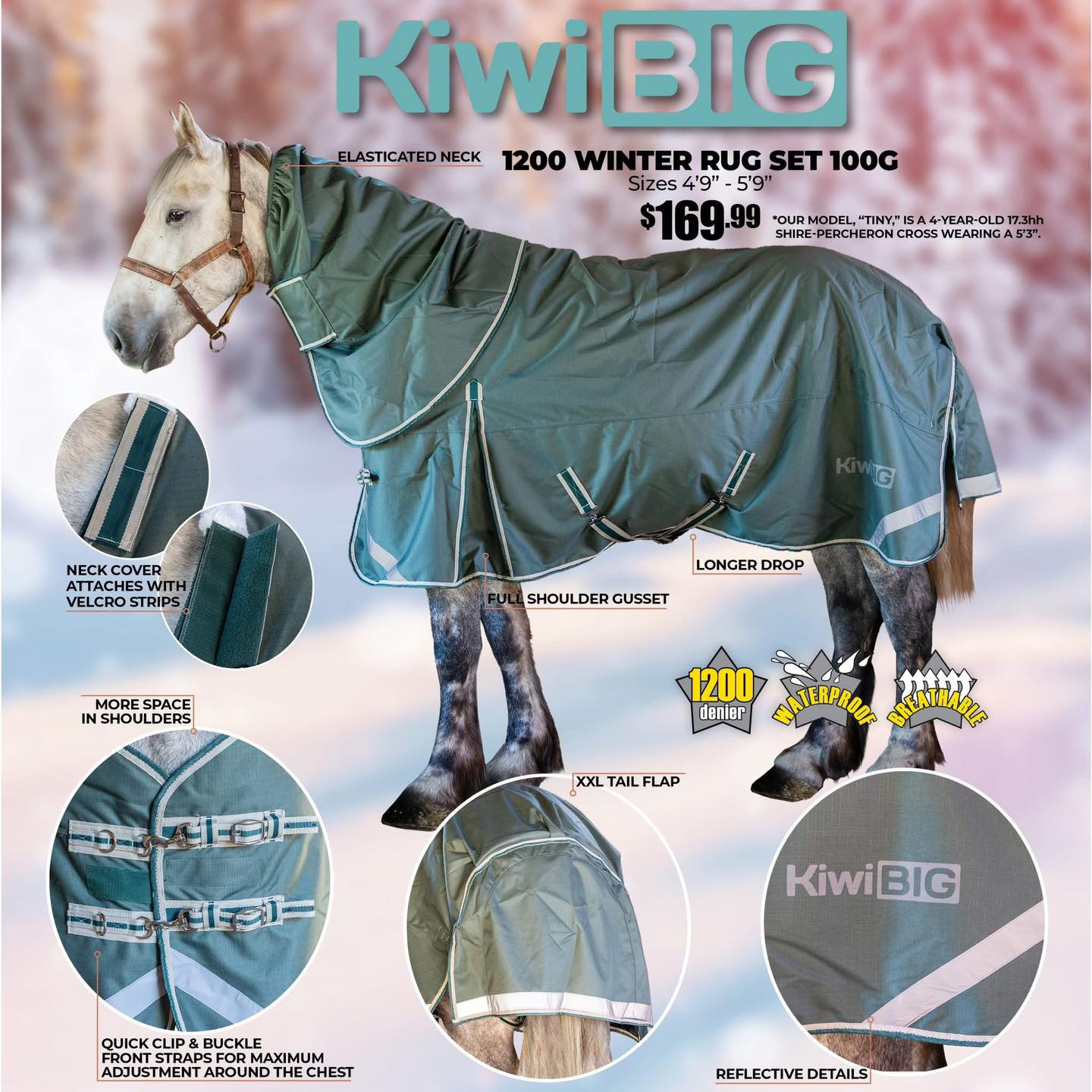 Saddlery - 🔥 ATTENTION BIG BREED OWNERS! 🔥 The KiwiBig 1200 Winter Rug ...