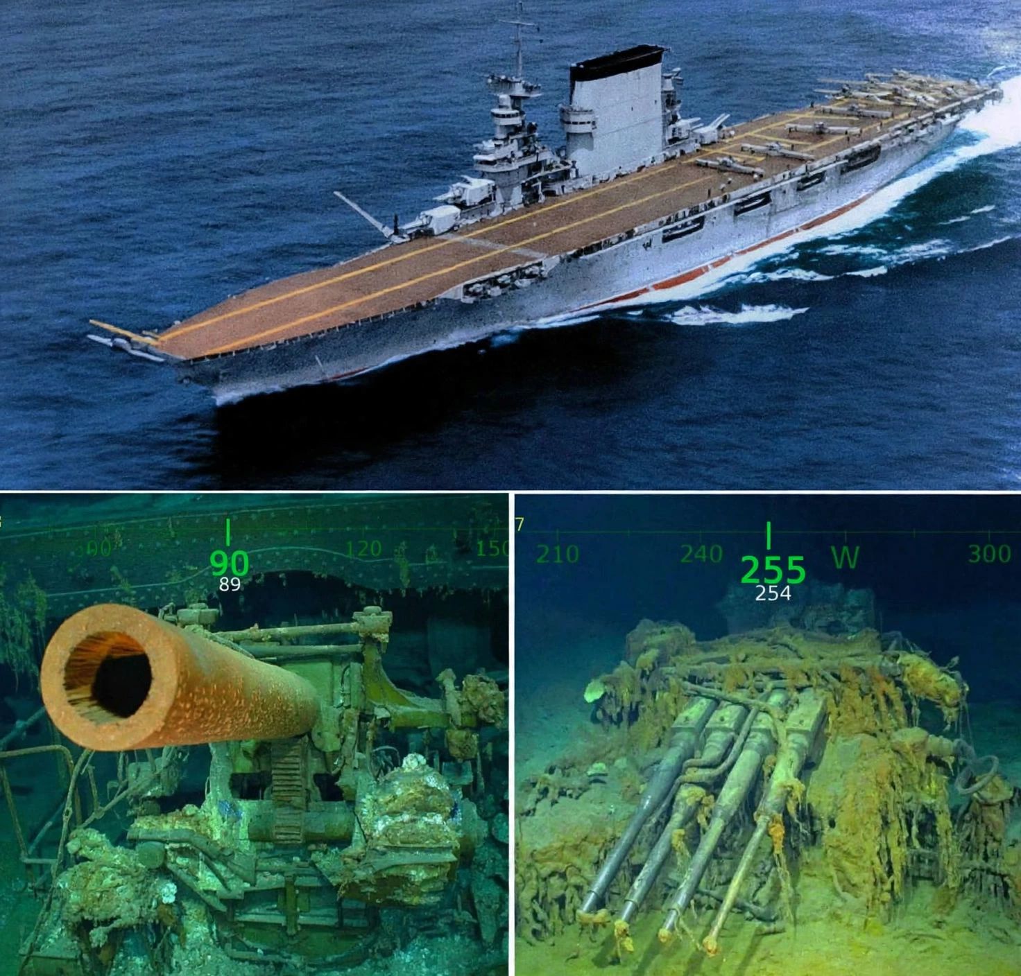 USS Lexington wreck in coral sea
