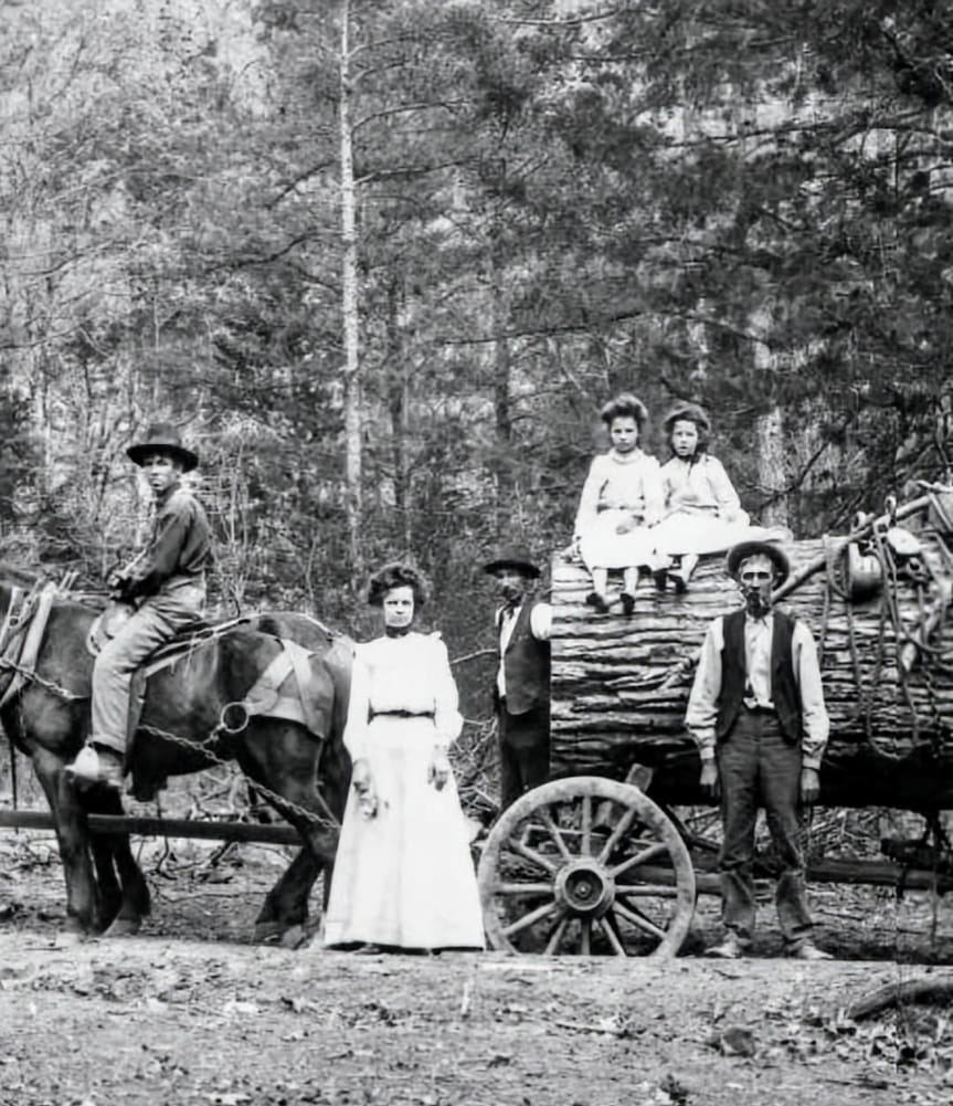 Old-time - Logging scene in the Great Smoky Mountains, with horses and ...