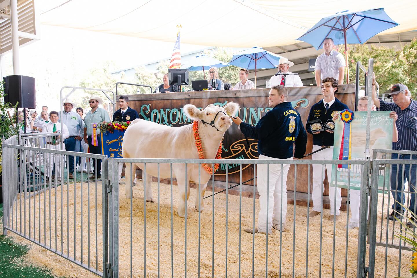 Sonoma County Fair Competitions | Santa Rosa CA