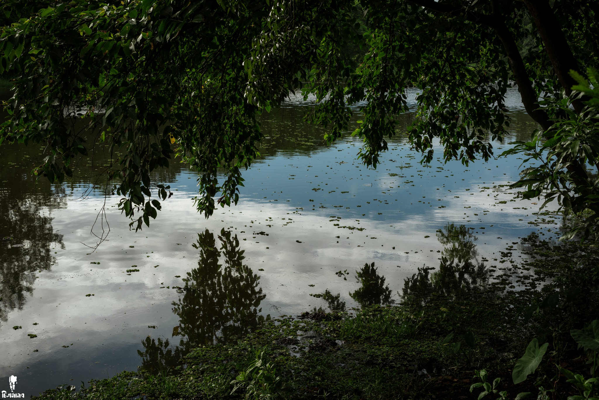 Hridoy Sarker