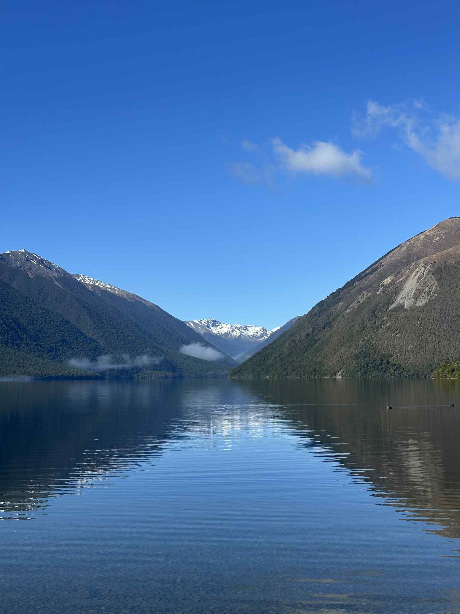 Explore Local New Zealand | This is Lake Rotorua, Nelson Lakes National ...