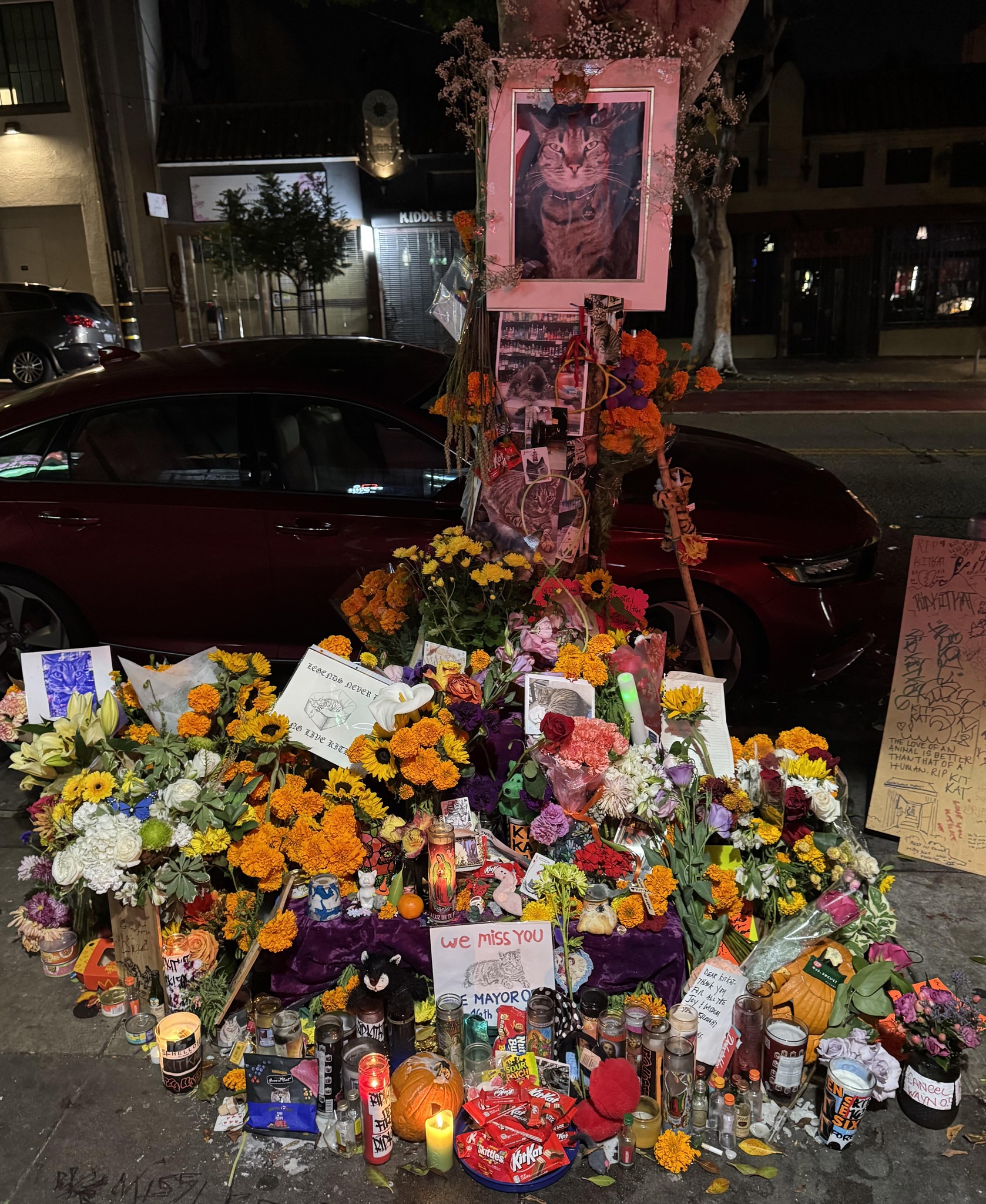 KitKat 1999-2000 MEMORIAL アタッシュケース A memorial for KitKat now sits outside of Randa's Market on 16th