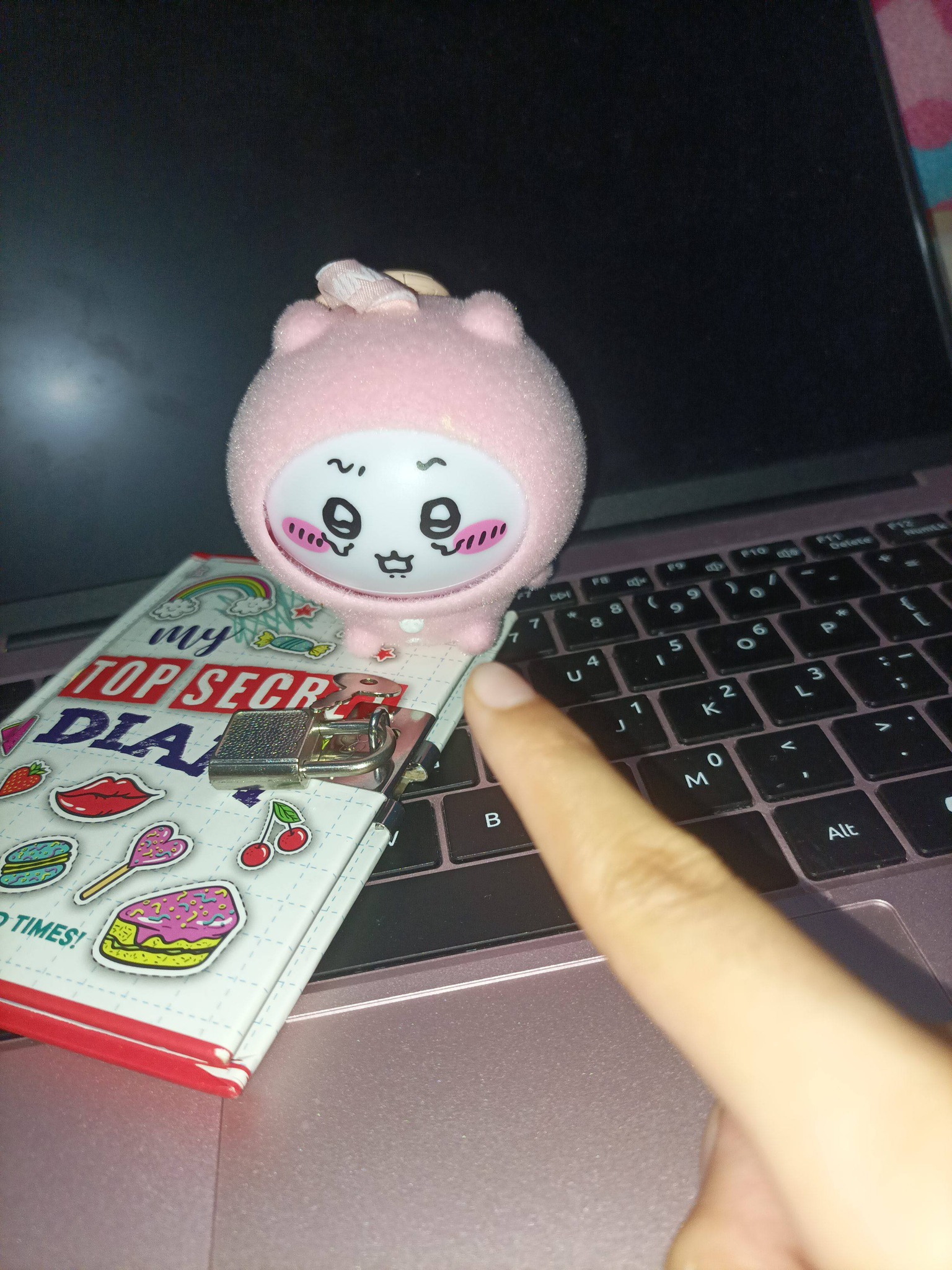 Chii! why are you trying to open my super-secret-amazing diary?!