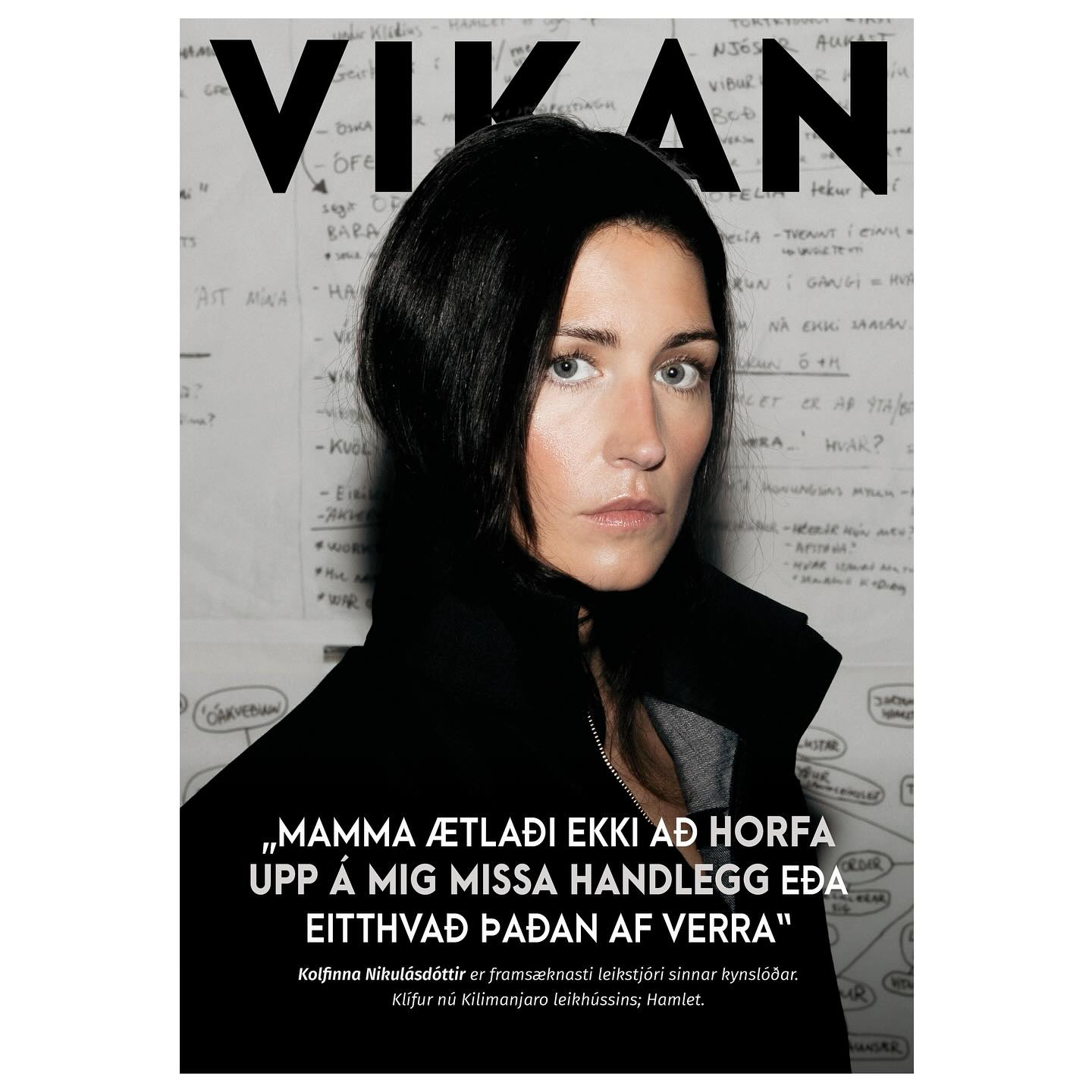 Vikan - Kolfinna Nikulásdóttir hefur getið sér gott orð á hinum ýmsu ...