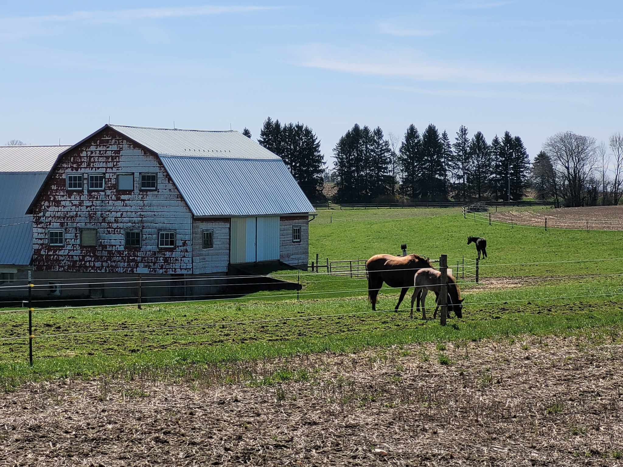 Seneca Valley Riding Academy | Harmony PA