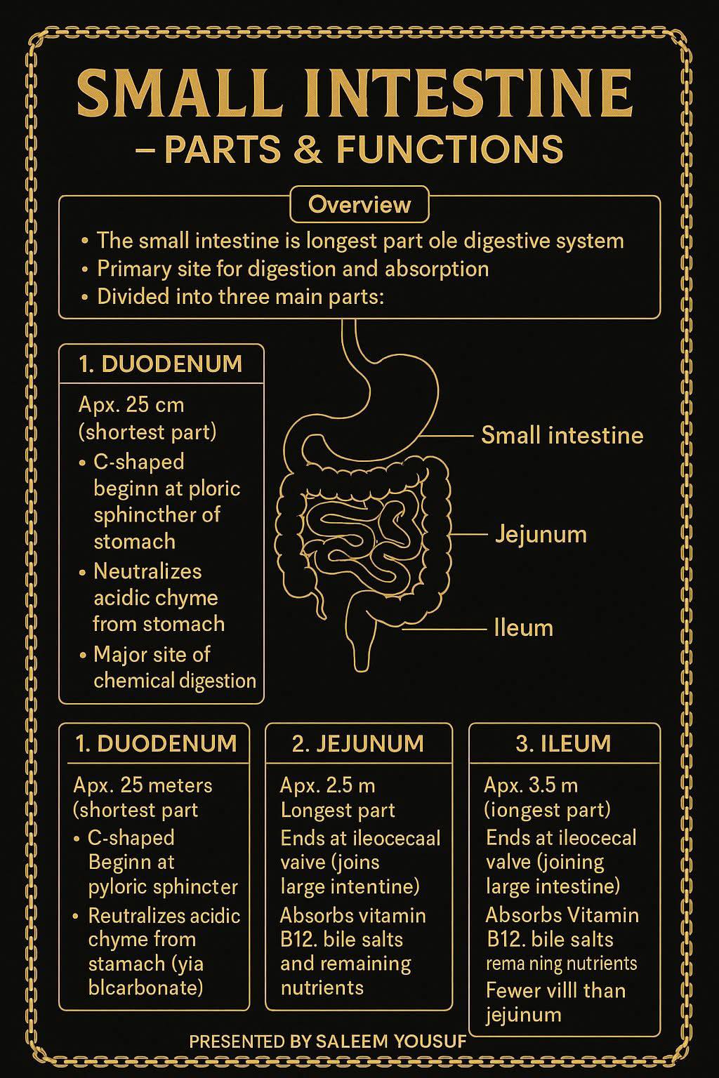 Nursing and Midwifery Knowledge | SMALL INTESTINE PARTS & FUNCTIONS ...