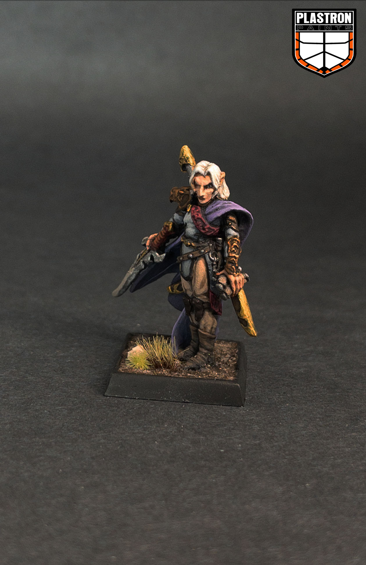 Romag Davl, Thief - Figurine Héros & Héroïnes Reaper Miniatures