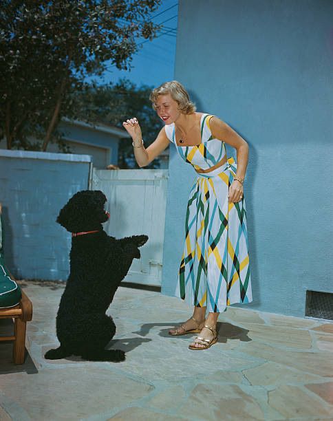 doris day blue dress Day's 1949 summer outfit an Academy Award nomination