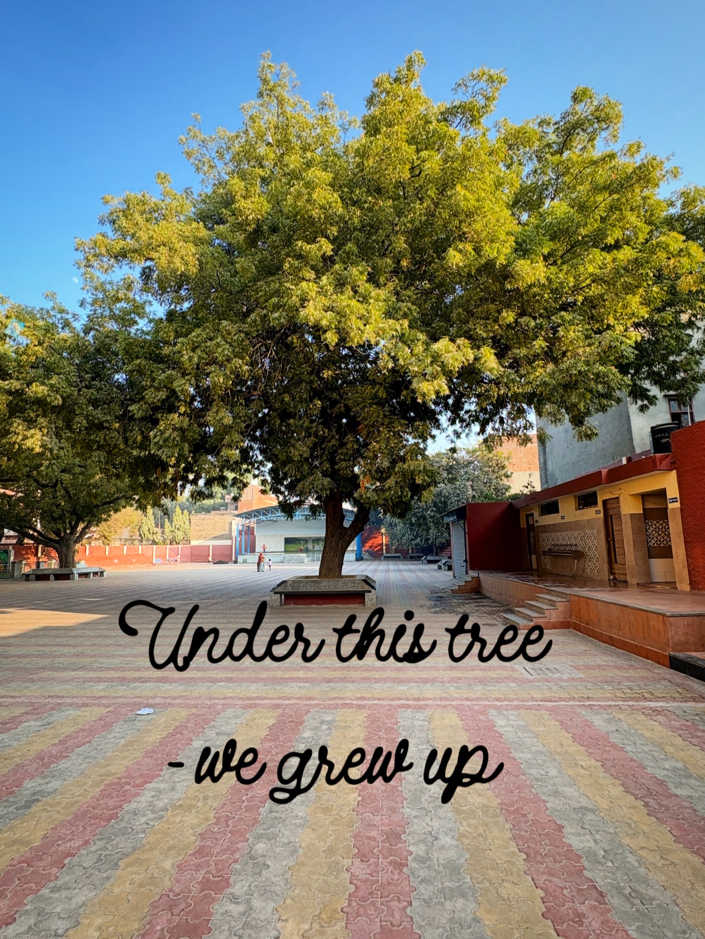 Our - Under this tree… we grew up. 🌳 This wasn’t just a tree in our ...