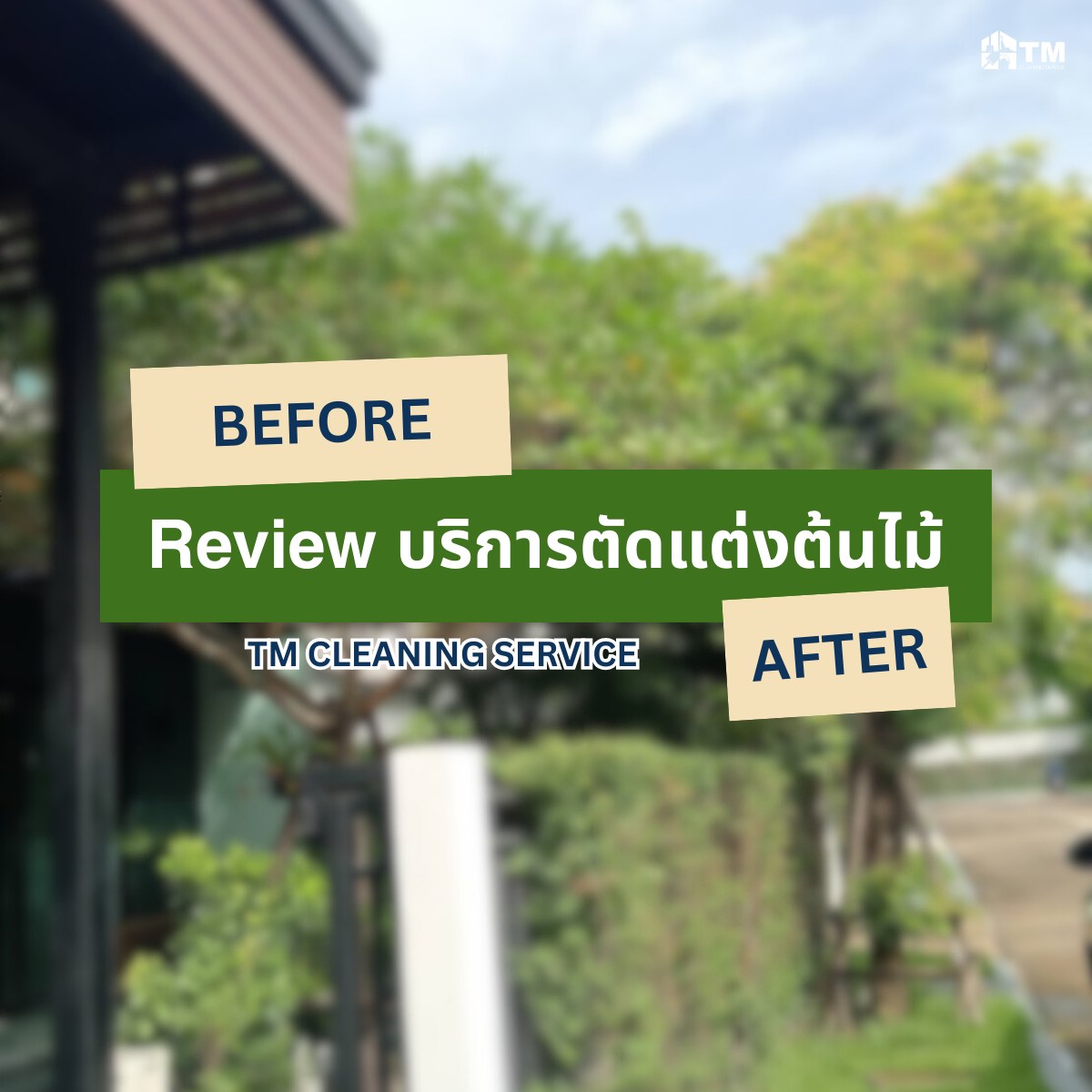 Before & After บริการตัดแต่งต้นไม้... - TM Cleaning Service | Facebook