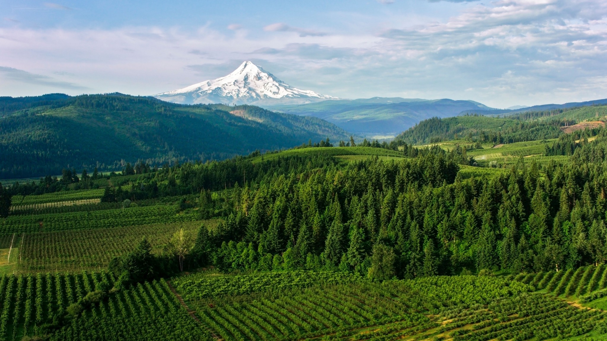 Mark Shull For Oregon