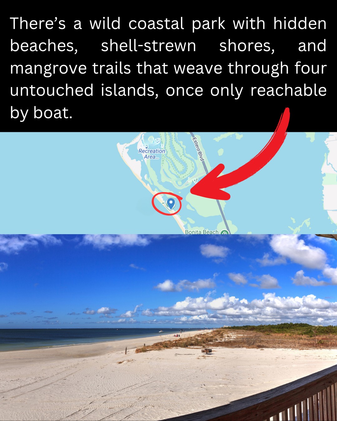 Florida - Mangroves. Magic. Calm. > https://tripmemos.com/stunning ...