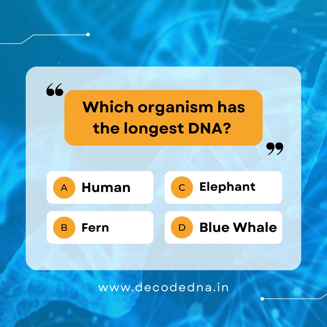 Decode DNA Private Limited | Gurugram