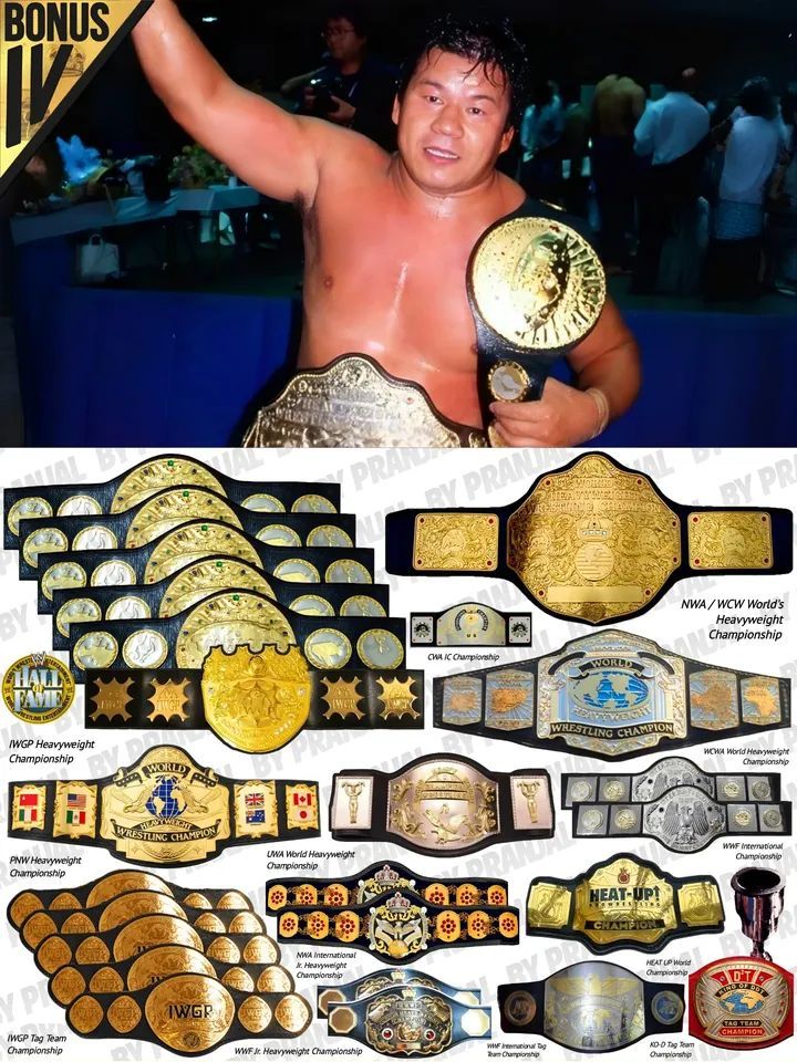 スポーツ選手 wwf premium Tatsumi Fujinami Championship Record in NJPW, WWE, NWA & other