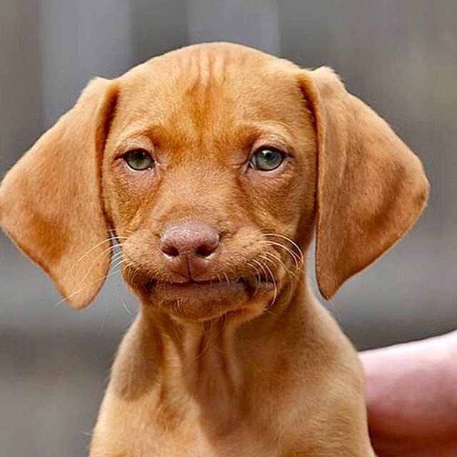 Go-rrito - Fed up with this rain? You're not alone. At... | Facebook