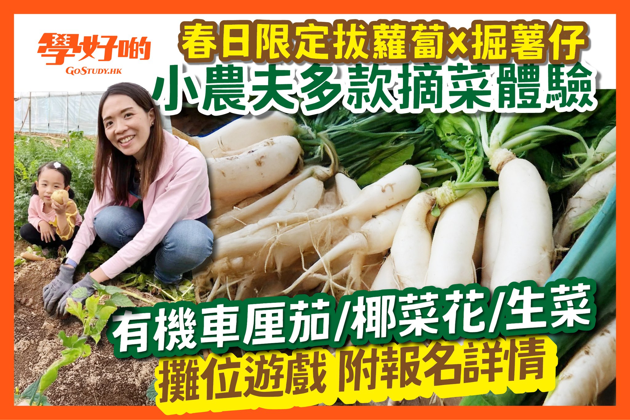 親子活動】 拔蘿蔔x掘薯仔自摘體驗! #親子好去處 #拔蘿蔔... - 學好啲 - GoStudy.HK | Facebook