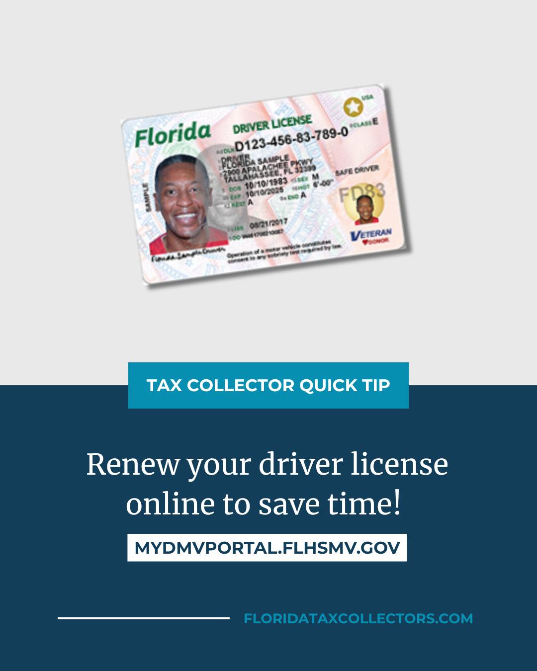 You can renew your license and registration online (with a few  restrictions). Use one of these links, or for more information you can  check out David W. Jordan Lake County Tax Collector's