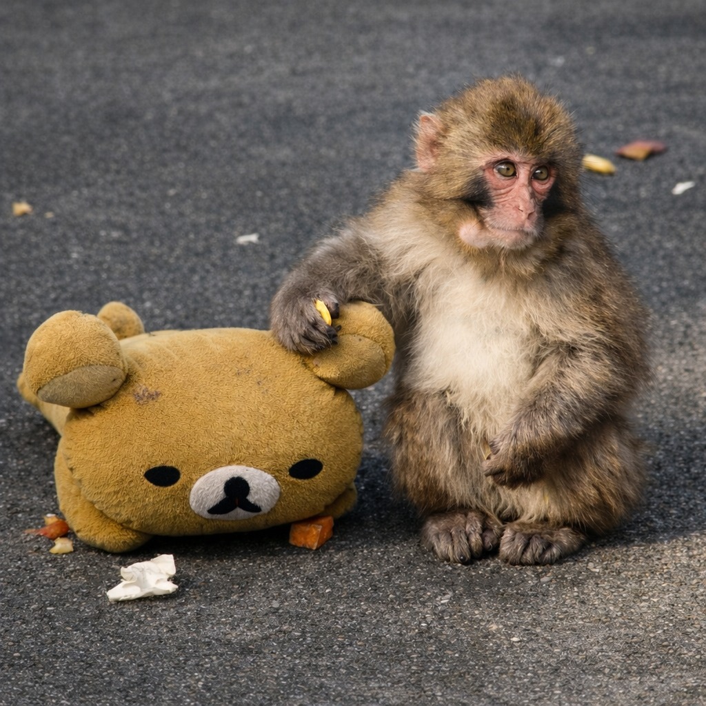 Before Punch, there was Otome — a little story from the same zoo