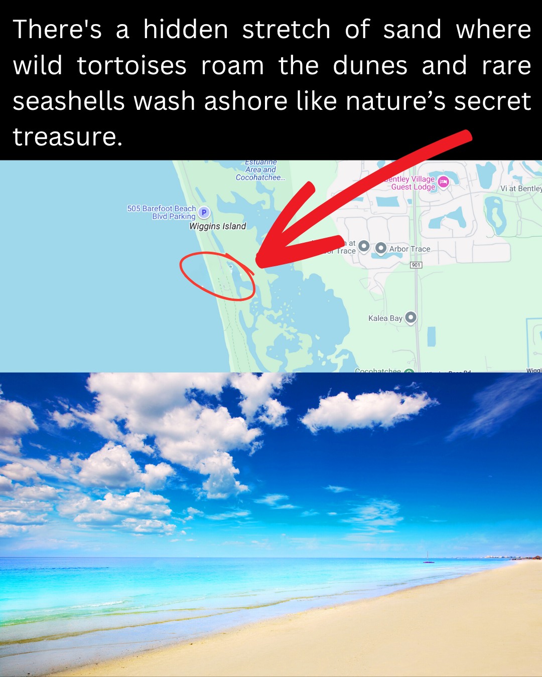 Florida - Undiscovered Coastal Beauty > https://tripmemos.com/stunning ...
