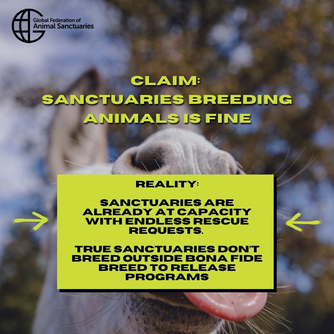 Global Federation of Animal Sanctuaries (GFAS)